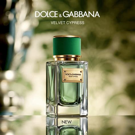 dolce gabbana perfume velvet cypress|dolce and gabbana velvet collection.